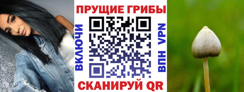 Галлюциногенные грибы мицелий наркотики Вытегра